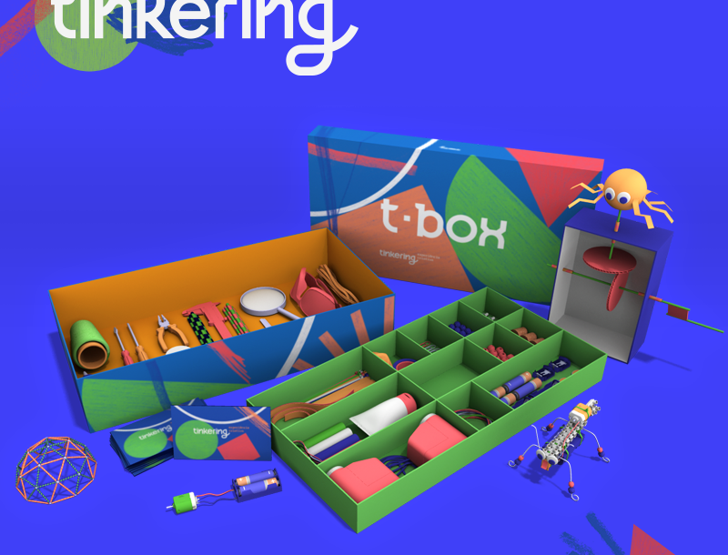 tinkering-divulgação-800x610