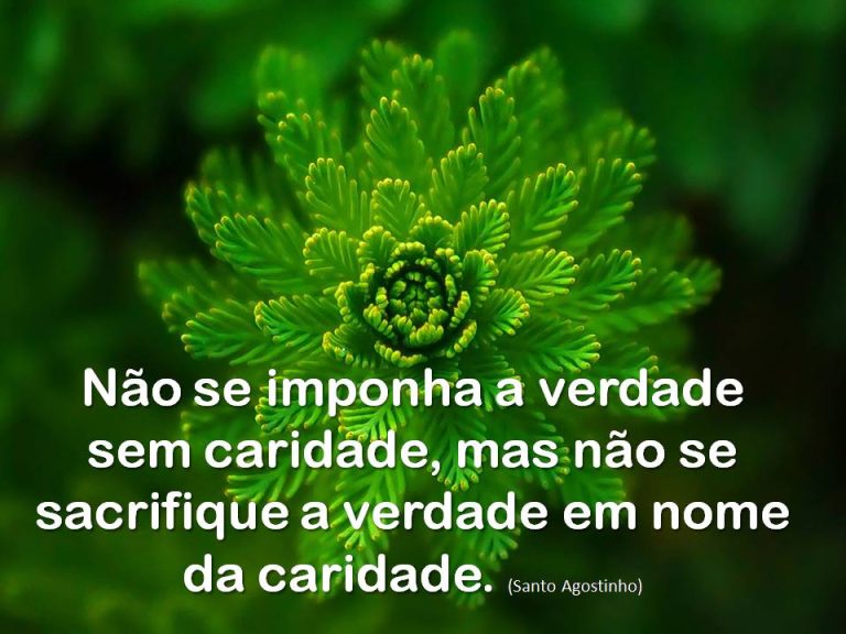 Verdade-com-caridade