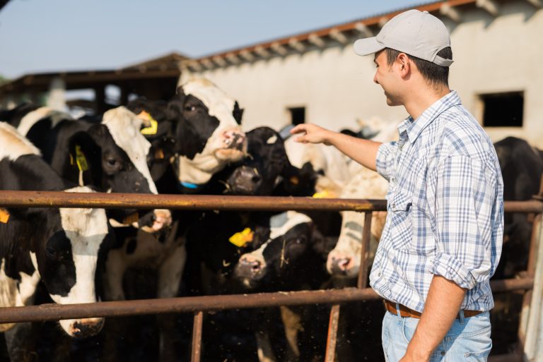Minas Gerais está livre de febre aftosa sem vacinação
