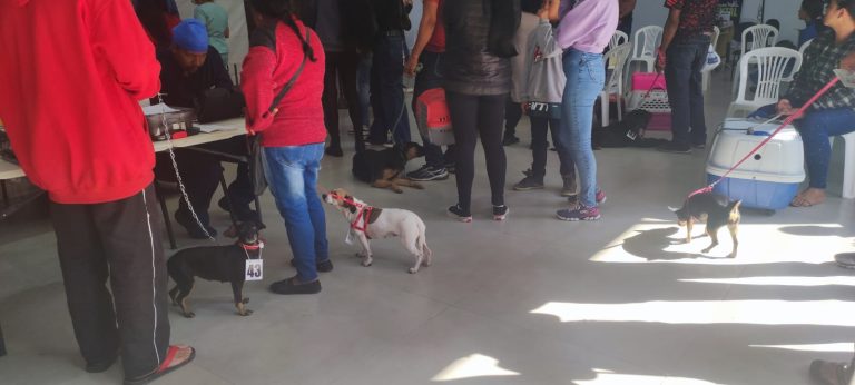 pet2