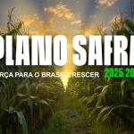 plano safra